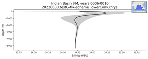 Indian Basin Salinity vs depth